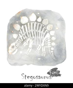 Fossile de dinosaure Stegosaurus dans la roche. Conception de peinture aquarelle. Vecteur . Illustration de Vecteur