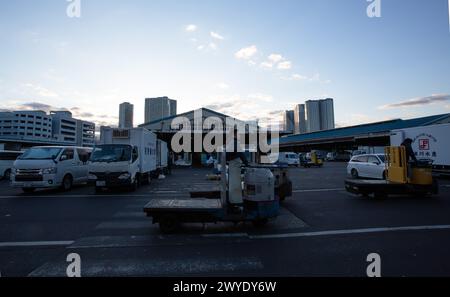 Tokyo, Japon - janvier 15 2018 : les travailleurs sont occupés dans le marché de Tsukiji. En juin 2017, les projets de déménagement du marché du poisson ont été repris, mais ont été retardés pour Autum Banque D'Images