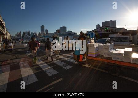 Tokyo, Japon - janvier 15 2018 : les travailleurs sont occupés dans le marché de Tsukiji. En juin 2017, les projets de déménagement du marché du poisson ont été repris, mais ont été retardés pour Autum Banque D'Images