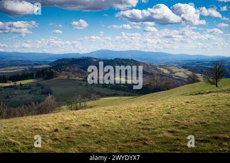 Une colline herbeuse couverte de verdure avec quelques arbres dispersés au sommet Banque D'Images