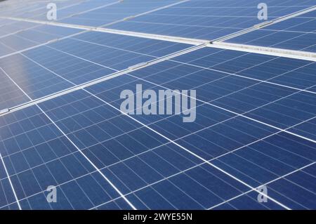 Rangées de panneaux solaires produisant de l'énergie verte Banque D'Images