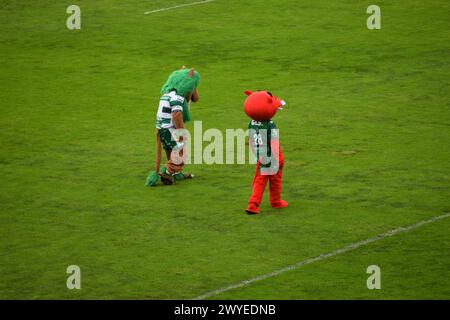 Mascottes à Benetton Treviso v Connacht à l'URC en mars 2024 Banque D'Images