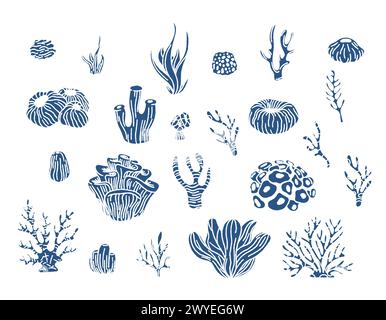 Récif corallien et algues vecteur de plantes sous-marines. Aquarium, algues océaniques et sous-marines, vie aquatique isolée sur fond blanc. Corail doodle set Illustration de Vecteur