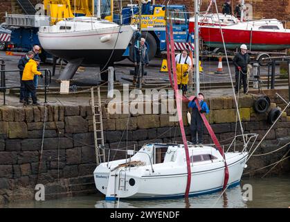 Port de North Berwick, East Lothian, Écosse, Royaume-Uni, 6 avril 2024. Yachts dans l'eau : l'événement annuel d'organisation d'une grue pour soulever plus de 20 voiliers dans l'eau pour la saison estivale a lieu aujourd'hui. Crédit : Sally Anderson/Alamy Live News Banque D'Images