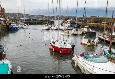 Port de North Berwick, East Lothian, Écosse, Royaume-Uni, 6 avril 2024. Yachts dans l'eau : l'événement annuel d'organisation d'une grue pour soulever plus de 20 voiliers dans l'eau pour la saison estivale a lieu aujourd'hui. Crédit : Sally Anderson/Alamy Live News Banque D'Images