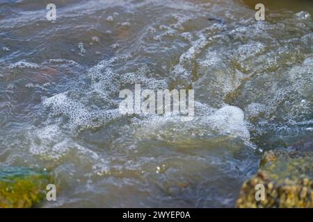 Vejle, Danemark. 06 avril 2024. La rive du lac lors des funérailles du fjord de Vejle à Skyttehushaven à Vejle, Danemark, samedi 6 avril 2024. Crédit : Ritzau/Alamy Live News Banque D'Images