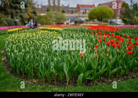 Jardins botaniques au début du printemps Wroclaw Basse-Silésie Pologne Banque D'Images