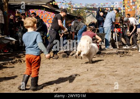 Copenhague, Danemark. 06 avril 2024. Les citoyens du village libre Christiania creusent conjointement les pavés de la rue Pusher, à Copenhague, Danemark, samedi 6 avril 2024. Crédit : Ritzau/Alamy Live News Banque D'Images