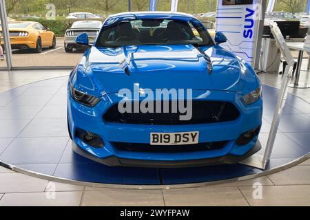 2018 Grabber Blue Ford Mustang GT Shadow Edition exposé dans la salle d'exposition automobile, Preston, Royaume-Uni Banque D'Images