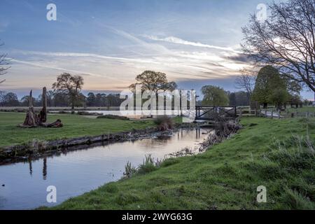 Fin du printemps matin lumière dans Surrey Royaume-Uni Banque D'Images