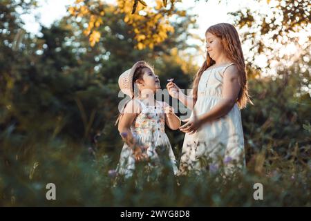 Deux petites filles, sœurs en robes blanches cueillant des fleurs dans la nature Banque D'Images