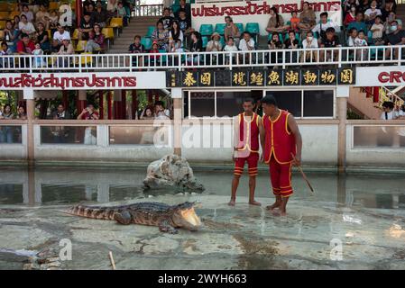 Samut Prakan, Samut Prakan, Thaïlande. 6 avril 2024. Deux formateurs de crocodile montrent comment attraper un crocodile. Spectacle pour les touristes à la ferme aux crocodiles et zoo de Samutprakan le 6 avril 2024. Dans la province de Samut Prakan. 35 km de Bangkok. Après avoir été temporairement fermé pendant 3 ans en raison de la situation épidémique de COVID-19. (Crédit image : © Teera Noisakran/Pacific Press via ZUMA Press Wire) USAGE ÉDITORIAL SEULEMENT! Non destiné à UN USAGE commercial ! Banque D'Images