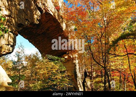 Le feuillage d'automne entoure un pont de pierre naturelle dans le parc national Natural Bridge dans le Kentucky par un jour d'automne ensoleillé Banque D'Images