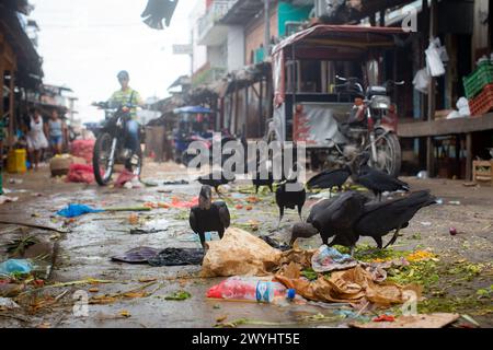 Scènes du marché de Belen dans la jungle amazonienne ville d'Iquitos où le Rio Itaya rencontre le Rio Amazonas Banque D'Images