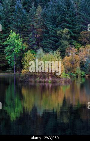 Petite île d'arbres automnaux, Glencoe Lochan dans les Highlands écossais, Royaume-Uni Banque D'Images