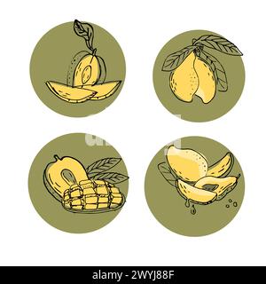 Fruit de mangue dessiné à la main dans l'illustration d'art de croquis. Illustration vectorielle de fruits tropicaux pour la santé - mangue. Peinture à l'encre art dans le style vintage. Illustration de Vecteur