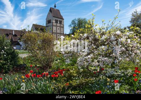 Insel Reichenau, Frühling am Münster *** Île de Reichenau, printemps à la Minster Banque D'Images