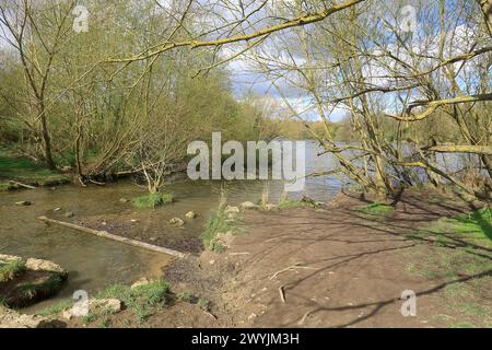 Un ruisseau boueux qui coule dans le lac à Mote Park Banque D'Images