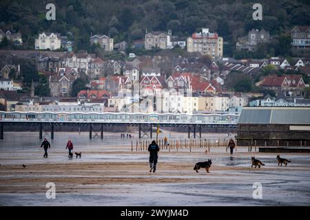 Promeneurs de chiens sur la plage de Weston-super-Mare dans le Somerset, où les vents forts et le ciel orageux affectent certaines parties de la côte. Date de la photo : dimanche 7 avril 2024. Banque D'Images