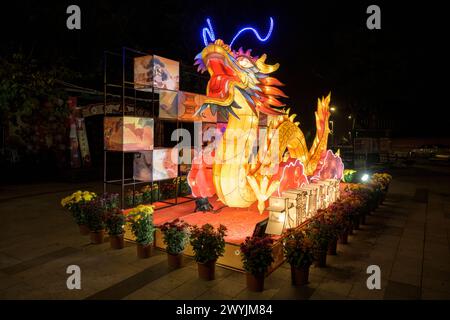 Lanterne en forme de dragon brillante lors d'un festival de nuit, entourée de décorations plus petites Banque D'Images