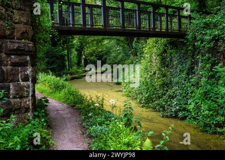 Sentier par un canal Cromford très vert à Whatstandwell près de Matlock dans le Derbyshire, Angleterre Banque D'Images
