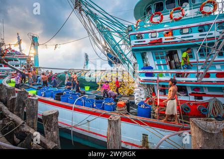 Thaïlande, province de Rayong, Ban Phe, le port de pêche Banque D'Images