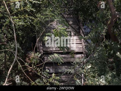 Vieux pont suspendu en bois au milieu de la forêt entouré d'une forêt verdoyante avec la lumière du soleil à travers les feuilles, pont en bois traversant avant Banque D'Images