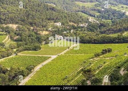 France, Vaucluse (84), Dentelles de Montmirail, Lafare, vignoble de Syrah et Grenache utilisé pour faire le Cru Beaumes de Venise Banque D'Images