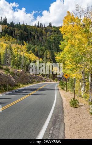 Les arbres commencent à changer de couleur au début de l'automne le long de Bear Lake Road près d'Estes Park, Colorado Banque D'Images