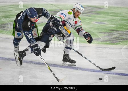 Straubing, Allemagne. 07 avril 2024. Hockey sur glace : DEL, Straubing Tigers - Eisbären Berlin, championnat, demi-finale, journée 4, Eisstadion am Pulverturm. Michael Clarke des Straubing Tigers (l) et Frederik Tiffels du Eisbären Berlin se battent pour la rondelle. Crédit : Armin Weigel/dpa/Alamy Live News Banque D'Images