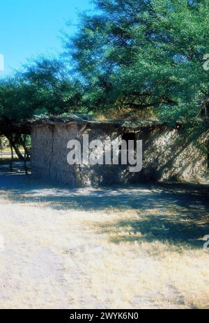 Bâtiment de colons en brique Adobe dans le désert du sud de l'Arizona Banque D'Images