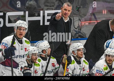 Straubing, Allemagne. 07 avril 2024. Hockey sur glace : DEL, Straubing Tigers - Eisbären Berlin, championnat, demi-finale, journée 4, Eisstadion am Pulverturm. L’entraîneur Serge Aubin du Eisbären Berlin soutient son équipe. Crédit : Armin Weigel/dpa/Alamy Live News Banque D'Images