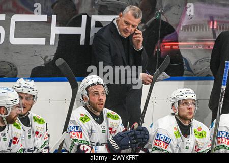 Straubing, Allemagne. 07 avril 2024. Hockey sur glace : DEL, Straubing Tigers - Eisbären Berlin, championnat, demi-finale, journée 4, Eisstadion am Pulverturm. L’entraîneur Serge Aubin du Eisbären Berlin soutient son équipe. Crédit : Armin Weigel/dpa/Alamy Live News Banque D'Images