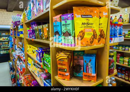 Barres de chocolat et biscuits par Mr Beast sur une petite étagère de magasin, son entreprise appelée Feastables qui fabrique ces gâteries et d'autres. Banque D'Images