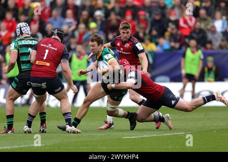 Northampton, Angleterre, 7 avril 2024. James Ramm de Northampton lors du match de la Coupe des Champions Investec entre Northampton et Munster au Cinch Stadium de Franklin's Gardens. Crédit : Ben Whitley/Alamy Live News Banque D'Images