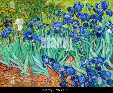 Iris de Vincent van Gogh, 1889 Banque D'Images