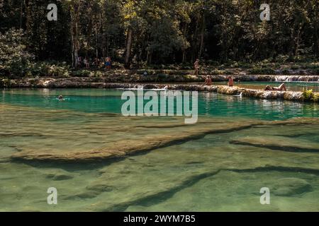 Les piscines turquoises dans les formations karstiques naturelles font un trou de baignade parfait à Semuc Champey près de Lanquin au Guatemala. Banque D'Images