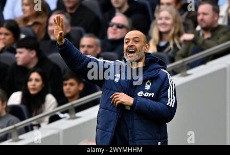 Londres, Royaume-Uni. 7 avril 2024. Nuno Espírito Santo (entraîneur de Nottingham Forest) marque et crie lors du match de Tottenham V Nottingham Forest premier League au Tottenham Hotspur Stadium. Cette image est RÉSERVÉE à UN USAGE ÉDITORIAL. Licence exigée du Football DataCo pour toute autre utilisation. Crédit : MARTIN DALTON/Alamy Live News Banque D'Images