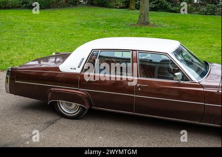 Tienen, Brabant flamand, Belgique - 31 mars 2024 - Ldtimer Cadillac Sedan de ville en stationnement Banque D'Images