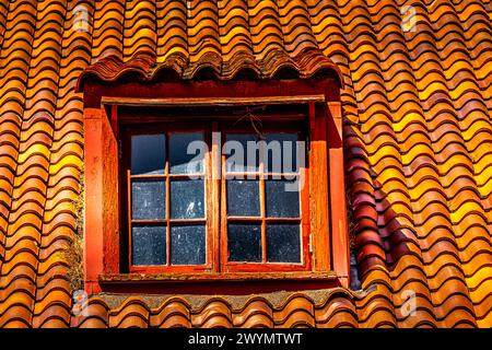 Le toit en tuiles de l'un des bâtiments du Mt. Écloserie Whitney avec une fenêtre dans le grenier. Banque D'Images