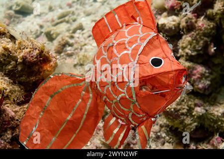 Poisson modèle en papier orange dans un cadre de récif corallien Banque D'Images