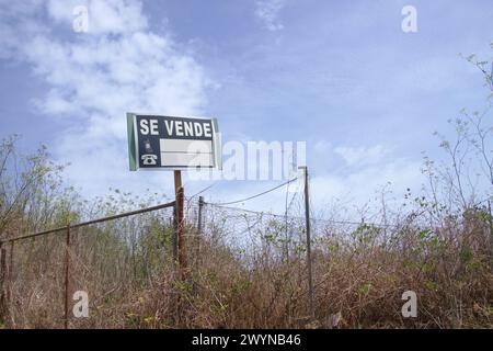 Image d'un panneau « à vendre » (en espagnol) dans un champ envahi par la végétation entouré d'une clôture métallique usée avec espace de copie Banque D'Images