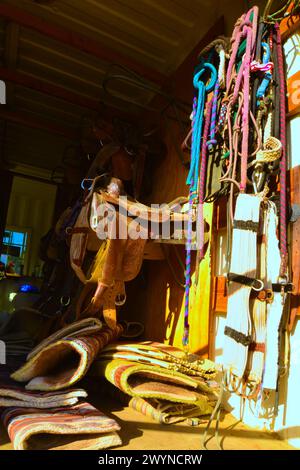 Un hangar contenant le tack nécessaire pour aller faire une balade à cheval, y compris bits, brides, couvertures, rênes, selles et étriers. Personne. Photo de haute qualité Banque D'Images