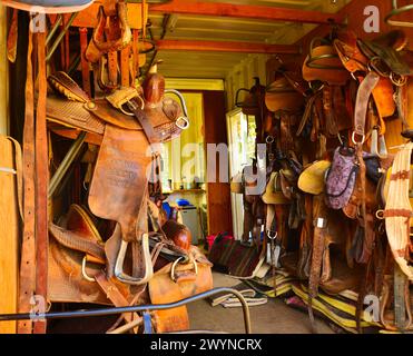 Un hangar contenant le tack nécessaire pour aller faire une balade à cheval, y compris bits, brides, couvertures, rênes, selles et étriers. Personne. Photo de haute qualité Banque D'Images