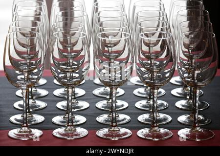 Tasses d'eau. Conférence. Parc technologique de Saint-Sébastien. Donostia. San Sebastian. Gipuzkoa. Pays Basque. Espagne. Banque D'Images