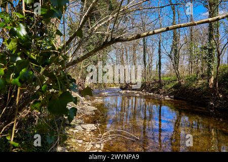 Rivière Oria, Segura, Gipuzkoa, pays Basque, Espagne. Banque D'Images