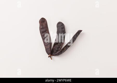 Fruit Gleditsia ou Locouste épineux isolé sur fond blanc Banque D'Images