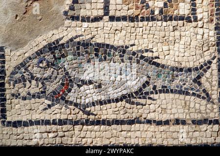 Poisson, symbole chrétien, mosaïque dans la basilique euphrasienne de Porec, Croatie Banque D'Images