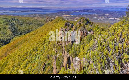 Cathedral Peak et Montagu Thumbs randonnée et escalade de dolérite caractéristiques le long d'une ligne de crête sur le mont Wellington kunanyi, Hobart, Tasmanie Banque D'Images