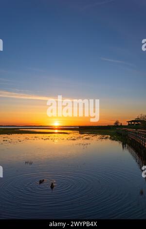 Beau coucher de soleil par un lac avec un sentier de randonnée à une tour d'oiseaux Banque D'Images